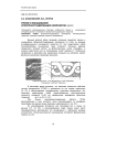 Трение и изнашивание фторопластсодержащих композитов (обзор)