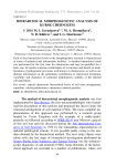 Hierarchical morphogenetic analysis of Kursk chernozem