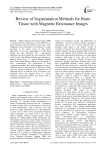 Review of Segmentation Methods for Brain Tissue with Magnetic Resonance Images
