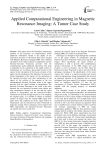 Applied Computational Engineering in Magnetic Resonance Imaging: A Tumor Case Study